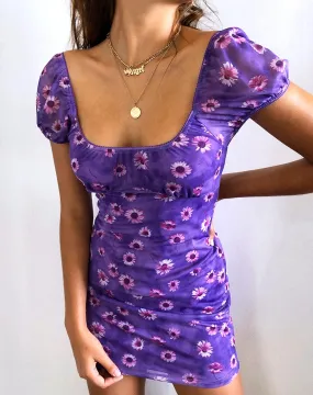 Galot Mini Dress in Daisy Daze Purple